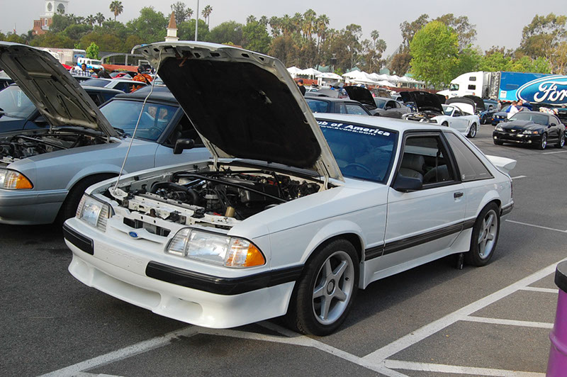 %_tempFileNameDSC_1445%