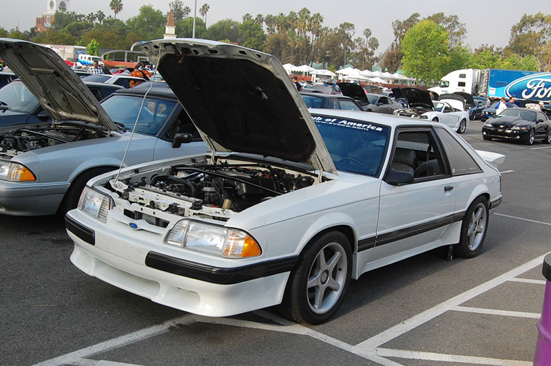 %_tempFileNameDSC_1446%