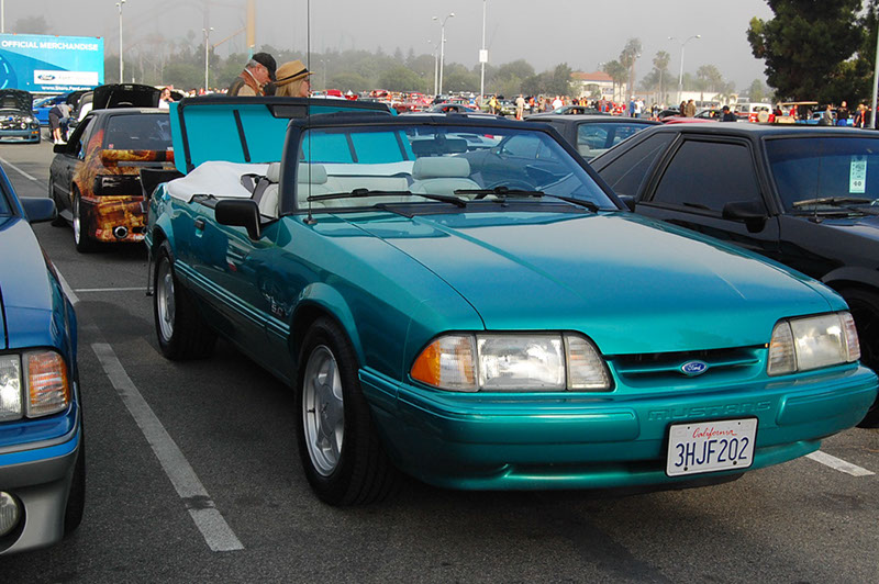 %_tempFileNameDSC_1454%