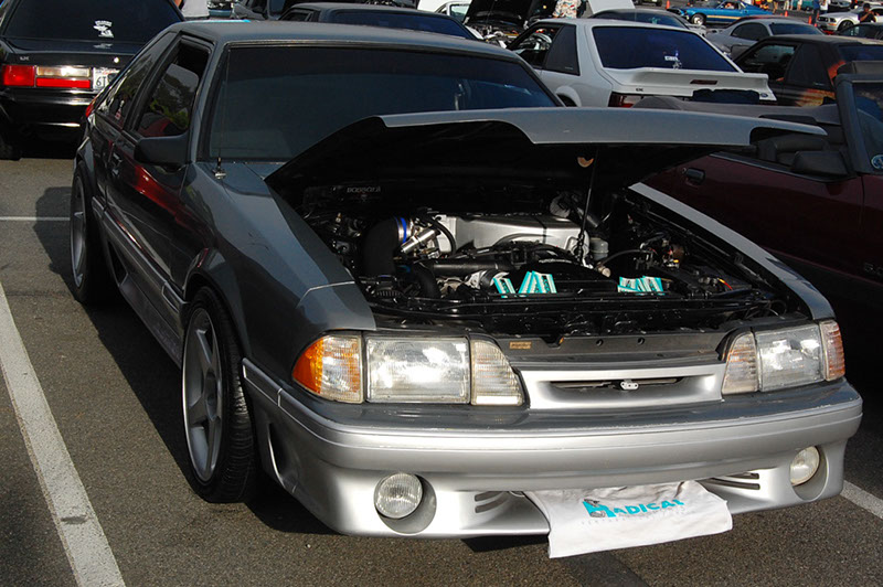 %_tempFileNameDSC_1461%