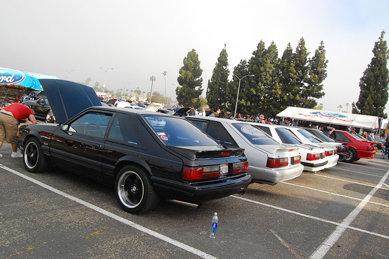 %_tempFileNameDSC_1466%