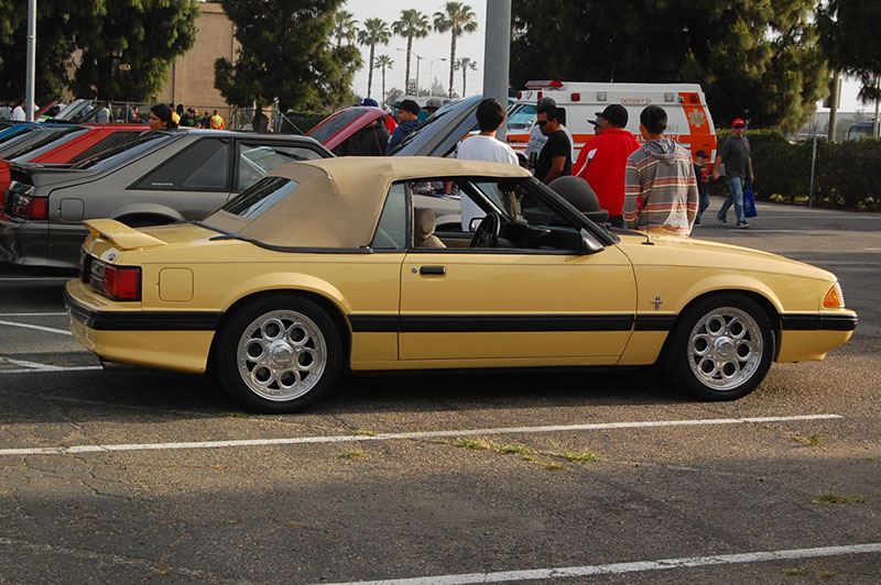 %_tempFileNameDSC_1467%