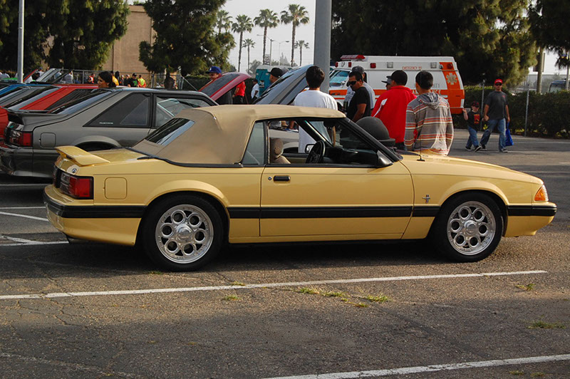 %_tempFileNameDSC_1468%