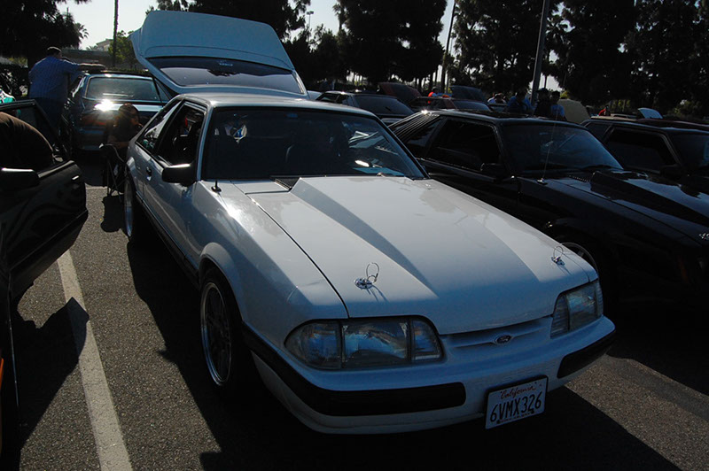 %_tempFileNameDSC_1497%