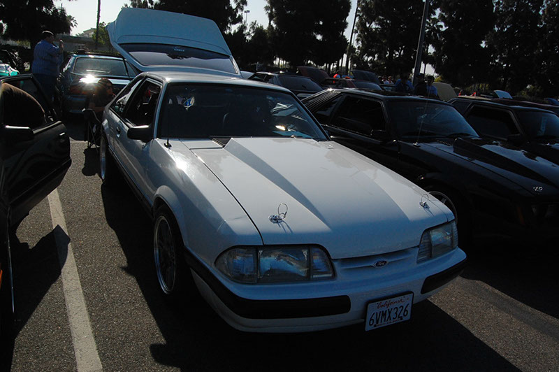 %_tempFileNameDSC_1498%