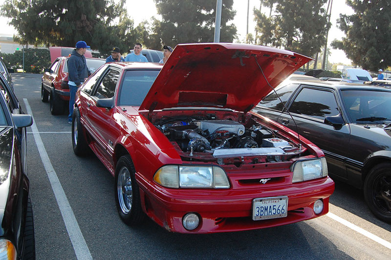 %_tempFileNameDSC_1503%