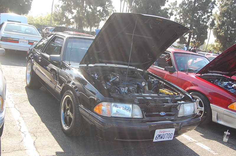 %_tempFileNameDSC_1510%