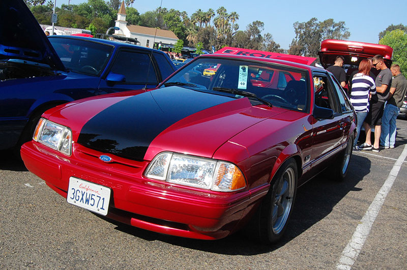 %_tempFileNameDSC_1513%