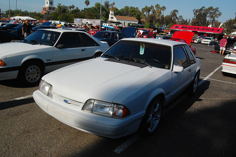 %_tempFileNameDSC_1517%