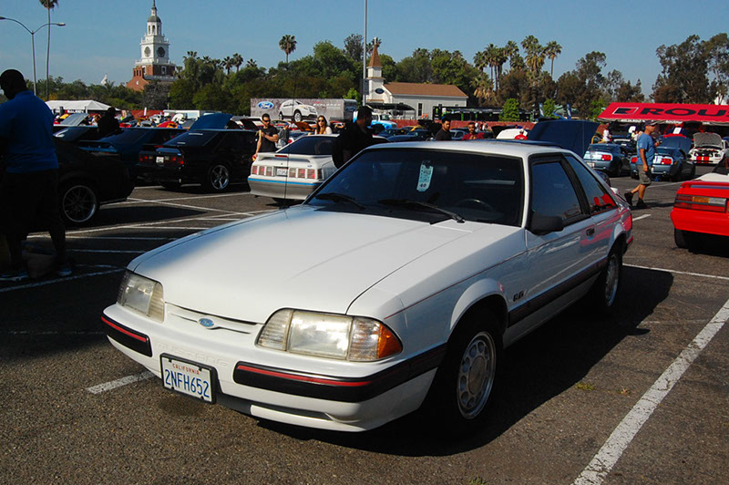 %_tempFileNameDSC_1519%