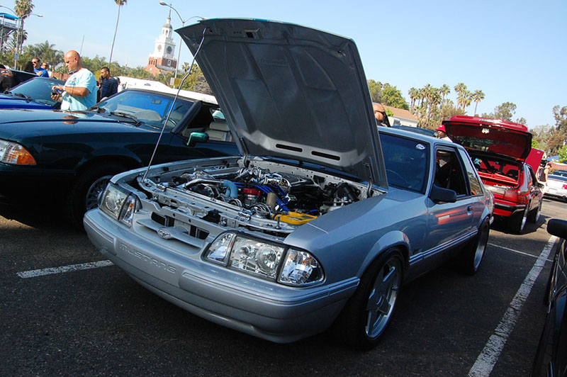 %_tempFileNameDSC_1549%