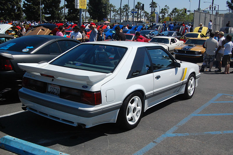 %_tempFileNameDSC_1565%