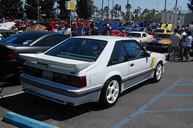 %_tempFileNameDSC_1566%