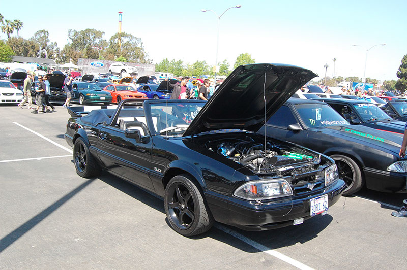 %_tempFileNameDSC_1575%