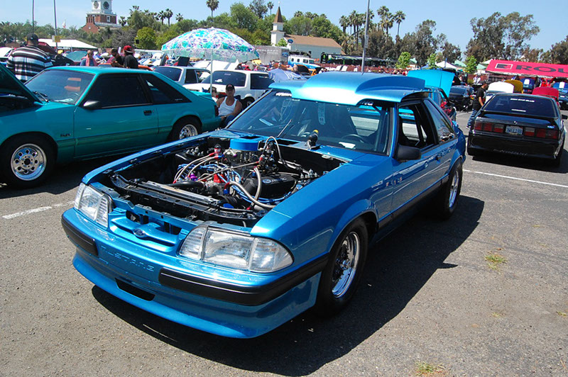 %_tempFileNameDSC_1595%