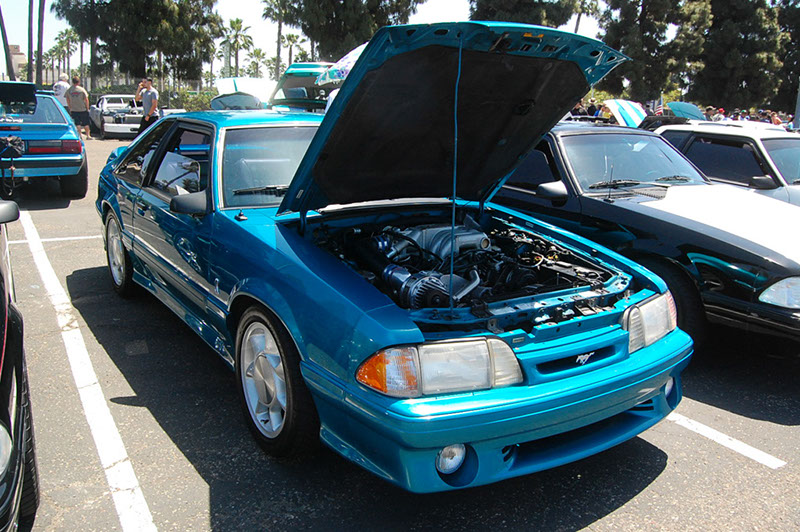 %_tempFileNameDSC_1616%