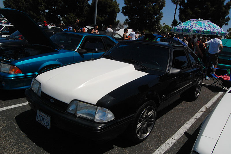 %_tempFileNameDSC_1618%