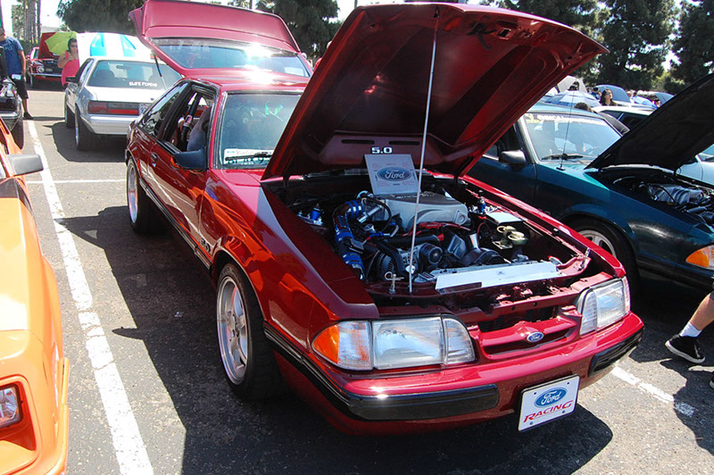 %_tempFileNameDSC_1621%