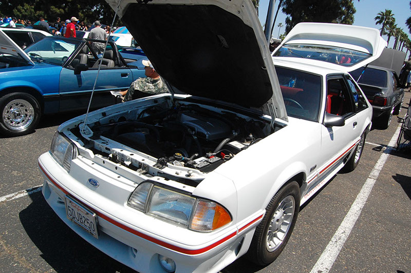 %_tempFileNameDSC_1626%