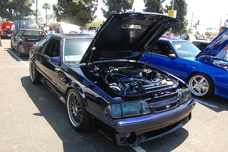 %_tempFileNameDSC_1629%