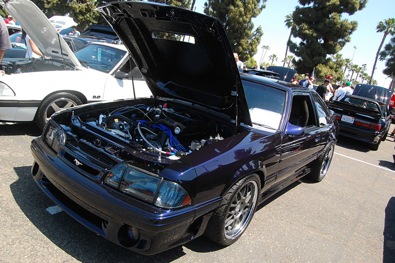 %_tempFileNameDSC_1632%