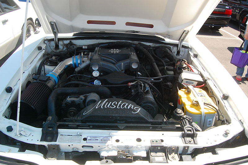 %_tempFileNameDSC_1644%