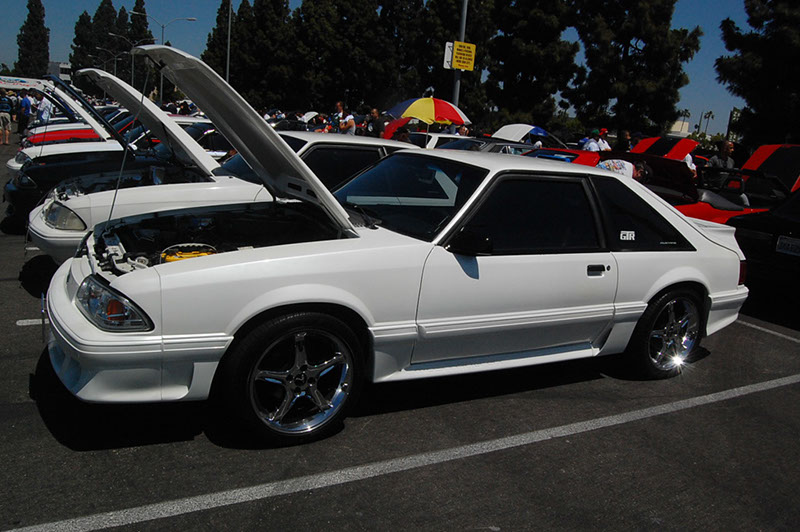 %_tempFileNameDSC_1646%