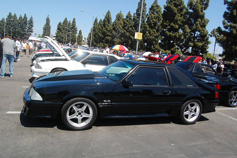 %_tempFileNameDSC_1648%