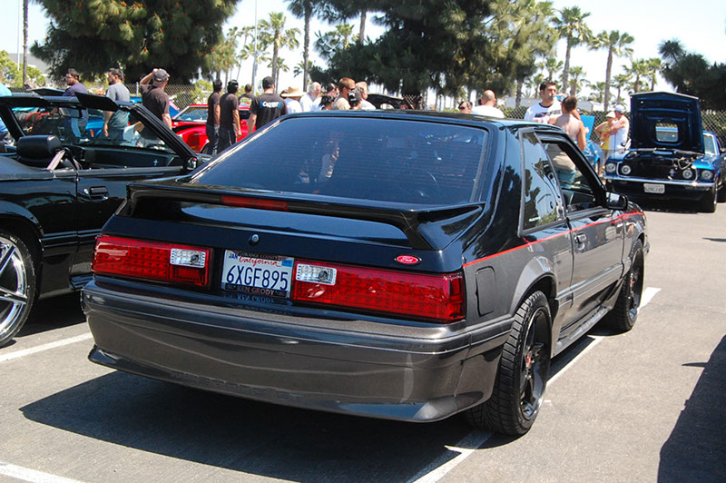 %_tempFileNameDSC_1650%