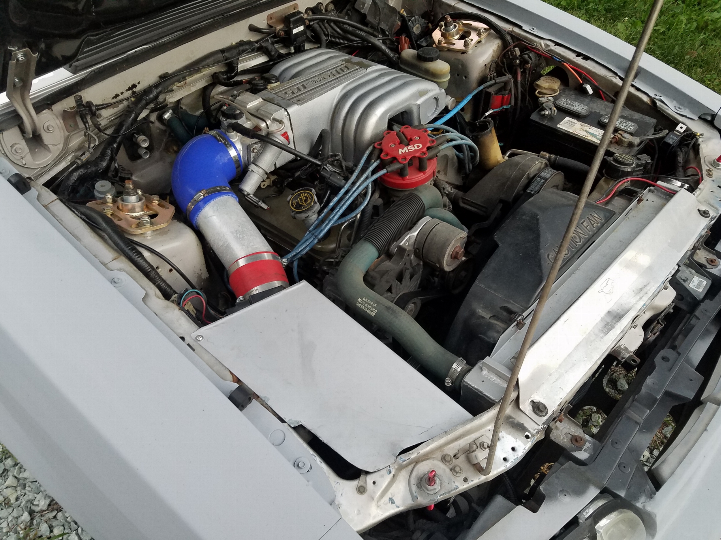 23528903988_ae8175c32f_o.jpg