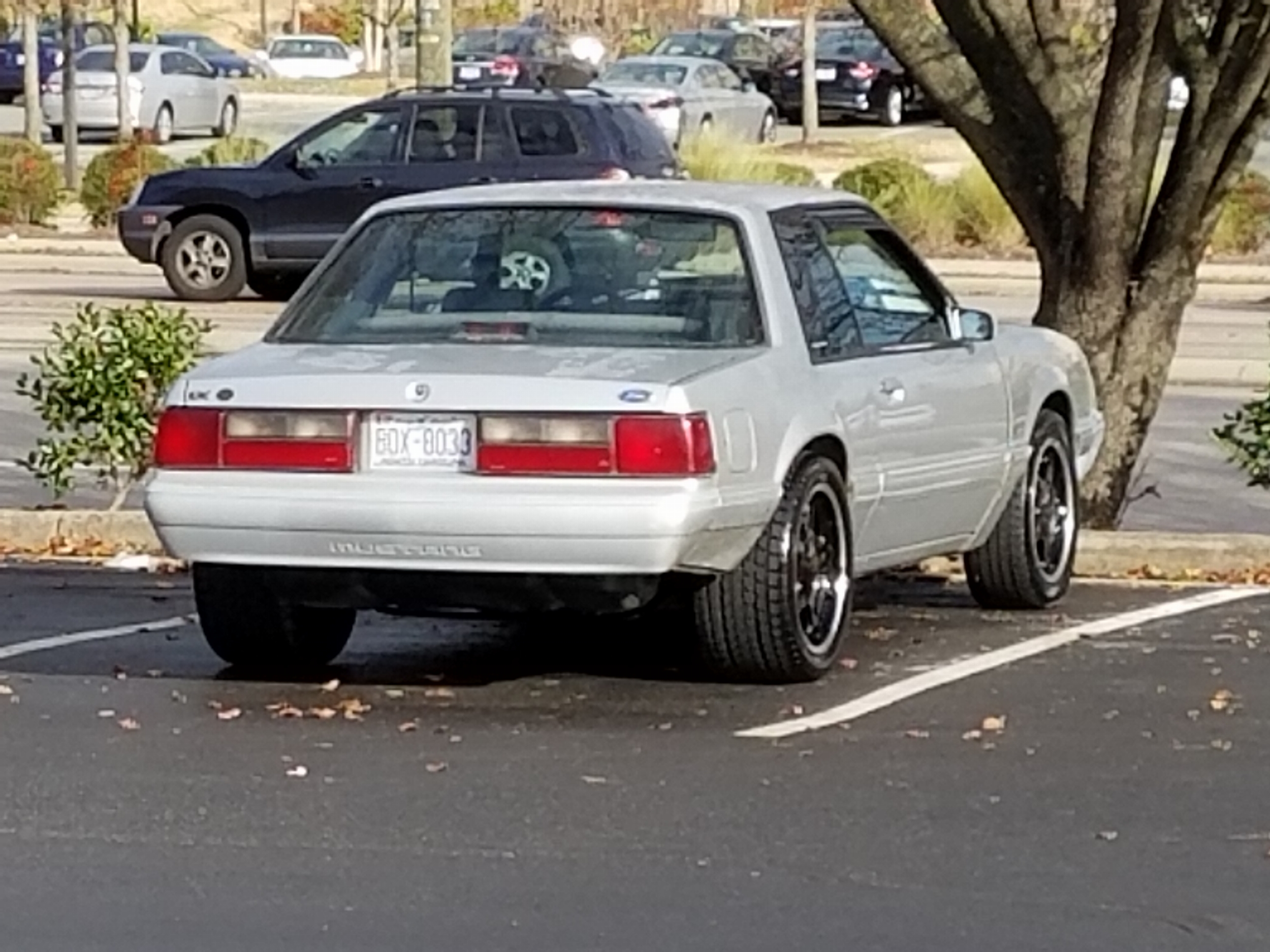 35830445192_9588014dfa_o.jpg
