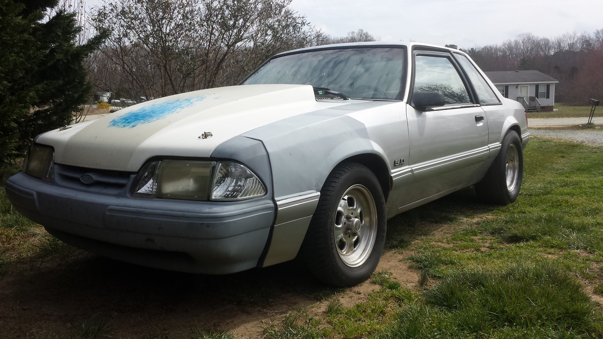 36005482355_51b6291ee8_o.jpg