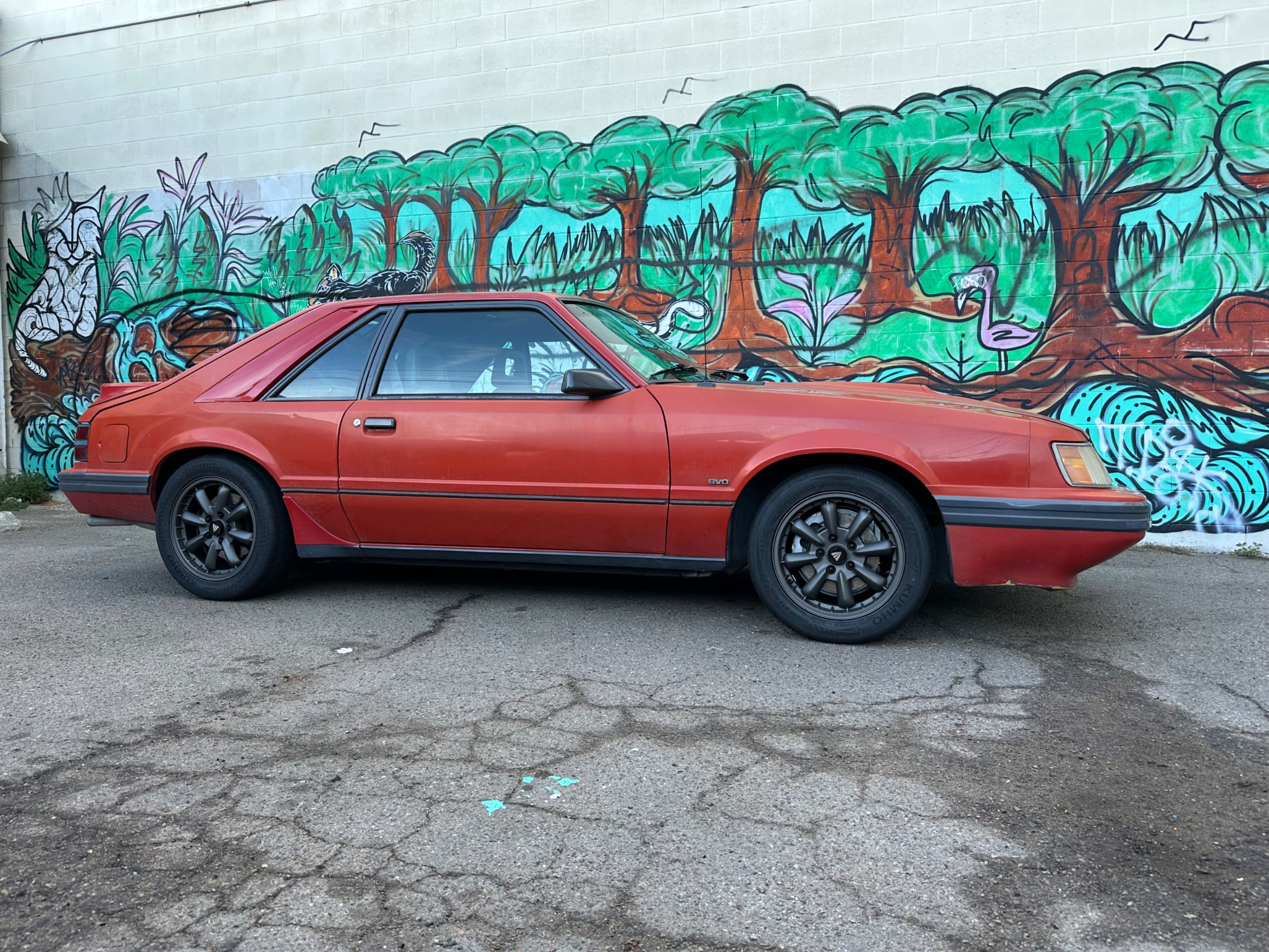 IMG_0097.jpeg
