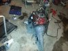 IMG_259647312625503.jpeg