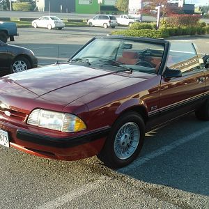 1987 Mustang CropPic-crop.jpg